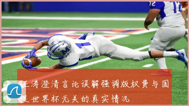 王涛澄清言论误解强调版权费与国足世界杯无关的真实情况